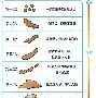 重磅：ScoutCBA外援新规(20202021cba外援规则)